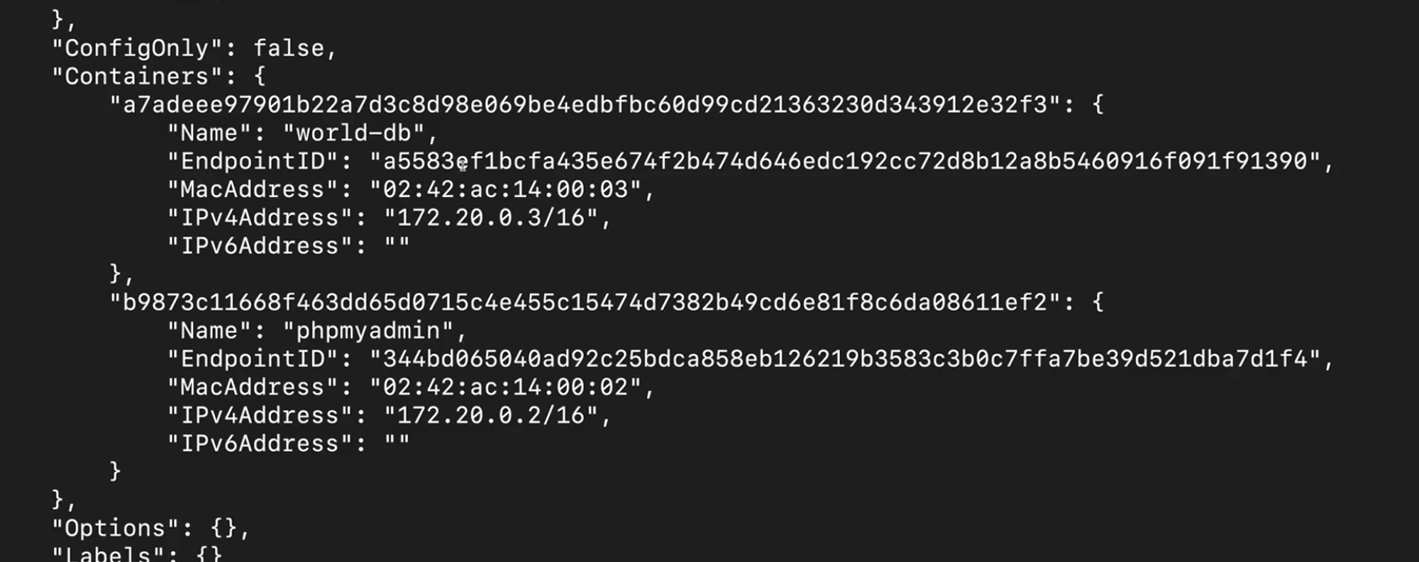 Redes en Docker